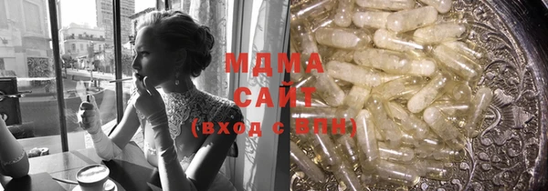 индика Ельня